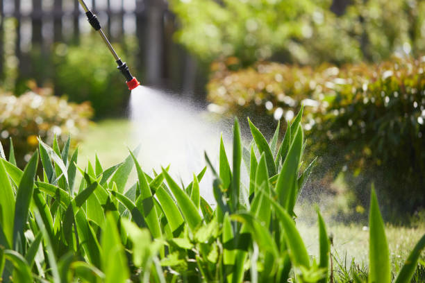 24/7 Emergency Mosquito Control experts in Peru, IN